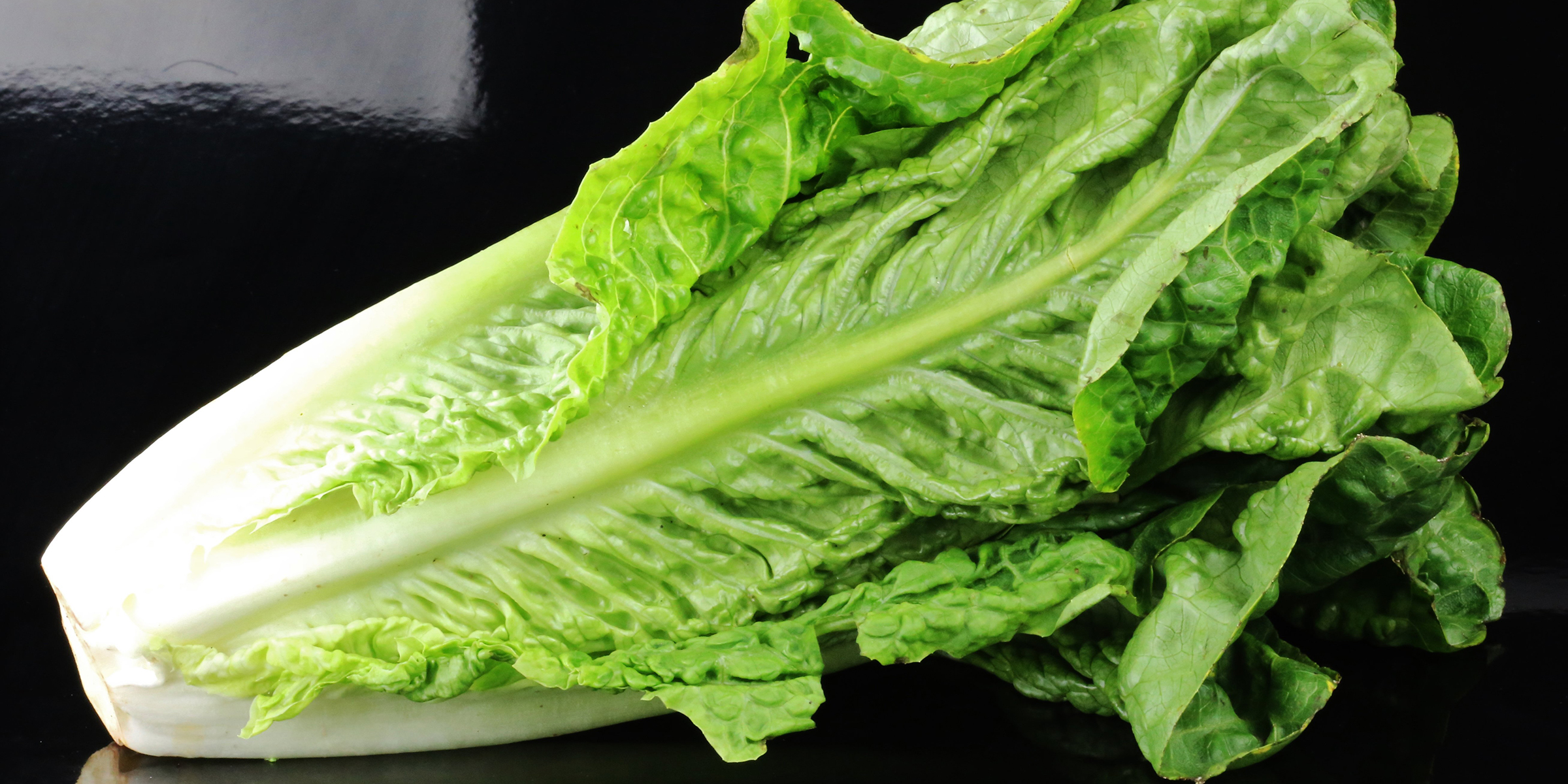 Romaine Lettuce
